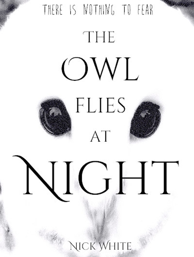Owl audiobook cover with header reading 'There is Nothing to Fear'